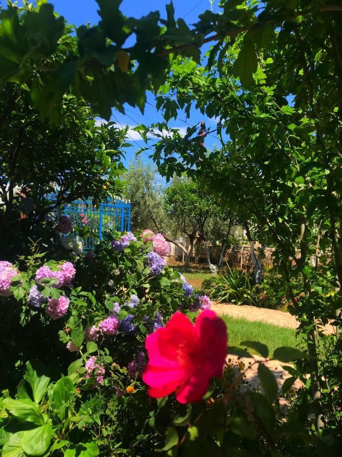 Vila Laura Pasha Villa คซามิล ภายนอก รูปภาพ