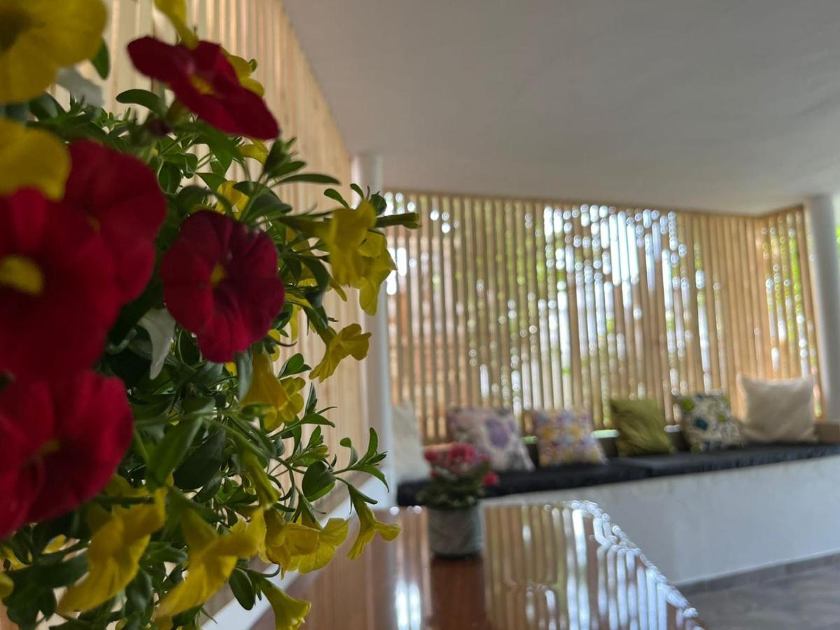 Vila Laura Pasha Villa คซามิล ภายนอก รูปภาพ